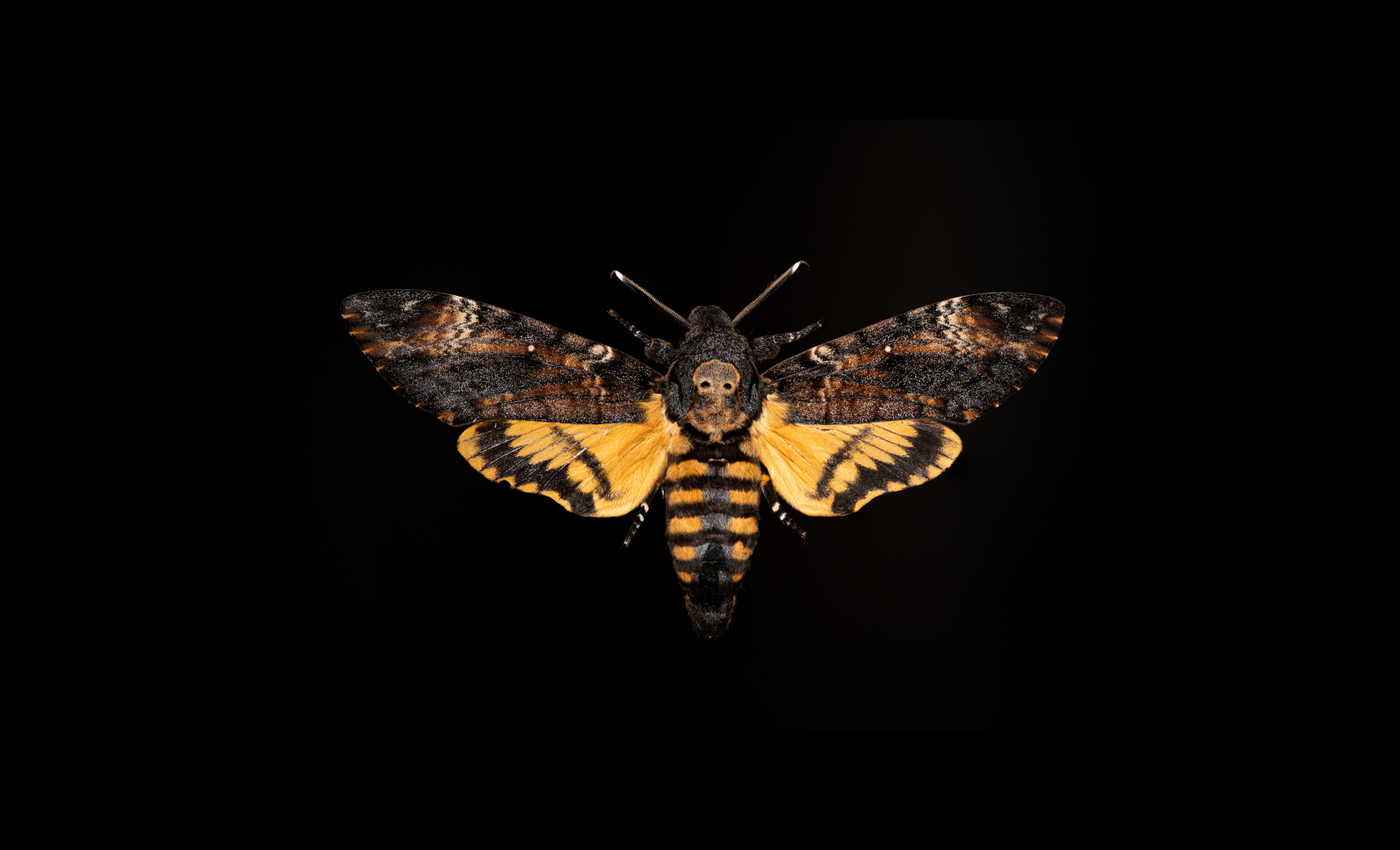 Проводят двухступенчатые схемы