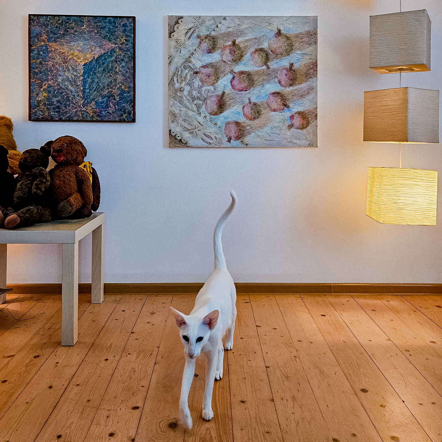 Украшает дом и жизнь