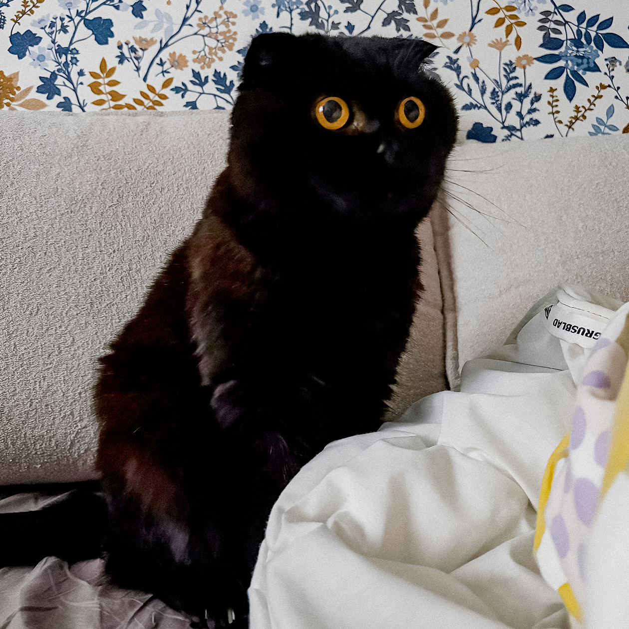 Это мой пунктуальный друг