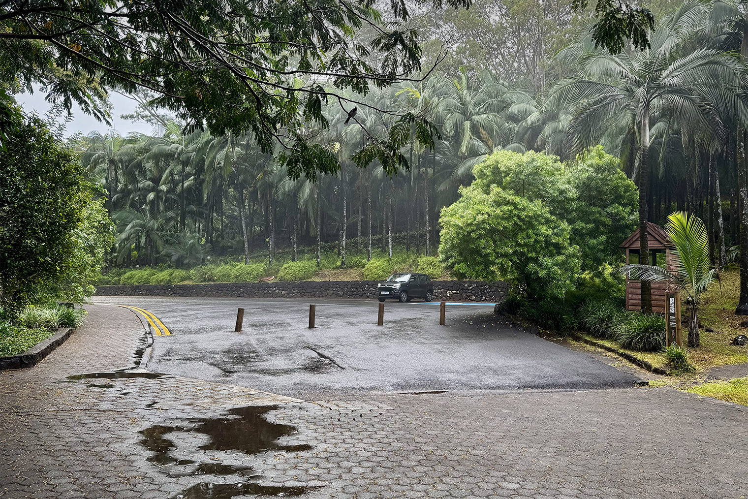 На Маврикии можно почти услышать тишину и почувствовать полное умиротворение