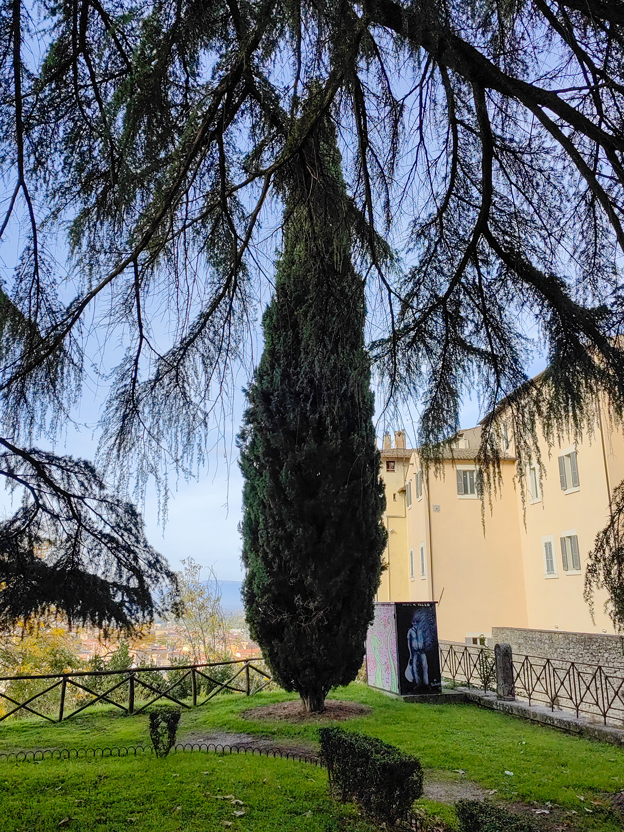 Рядом с этим кипарисом я долго сидел на лавочке, любуясь пейзажем