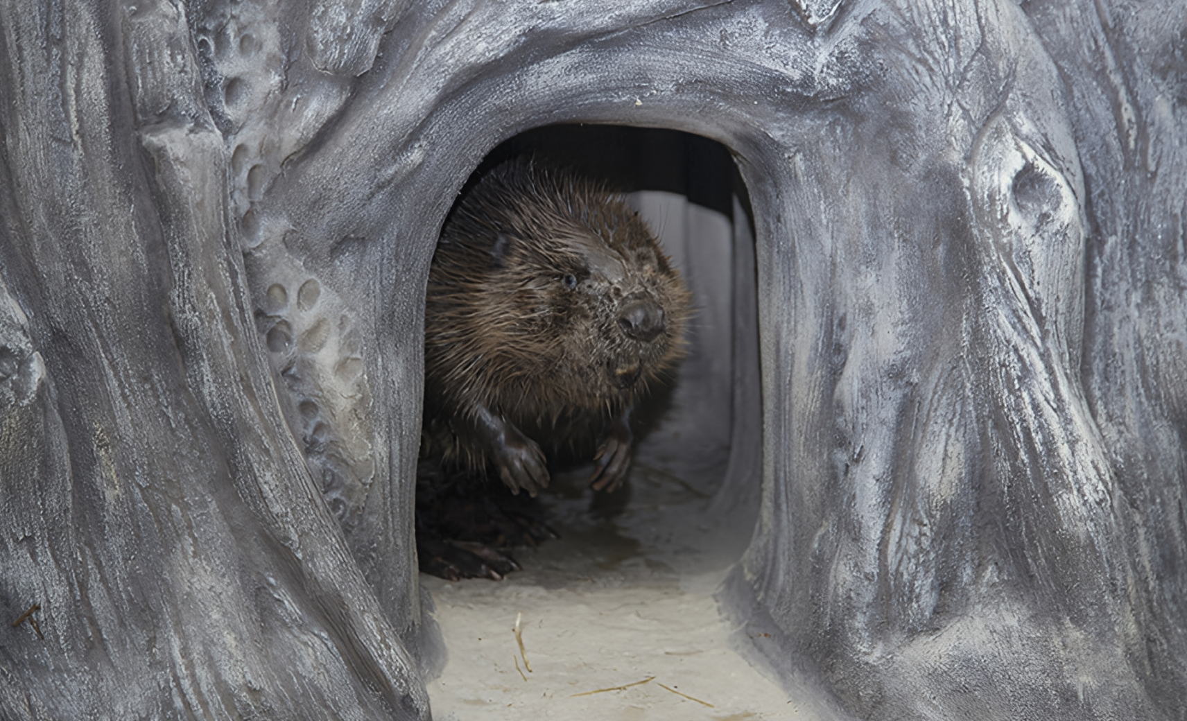 Воронежский заповедник имени В. М. Пескова
