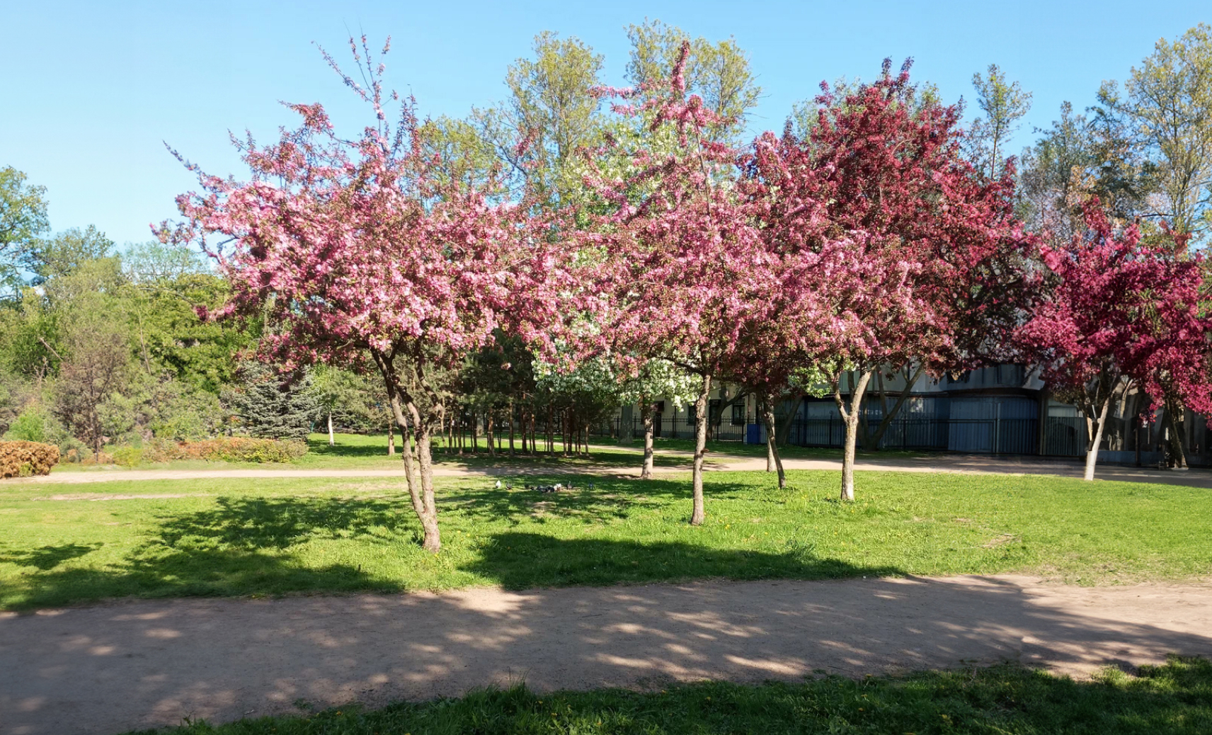 Сампсониевский сад