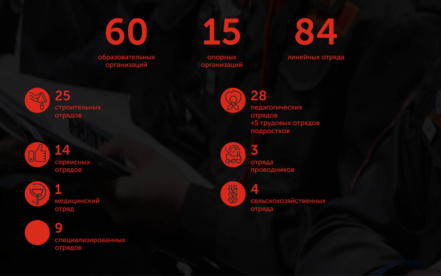 Структура студенческих отрядов Москвы. Источник: mosrso.ru