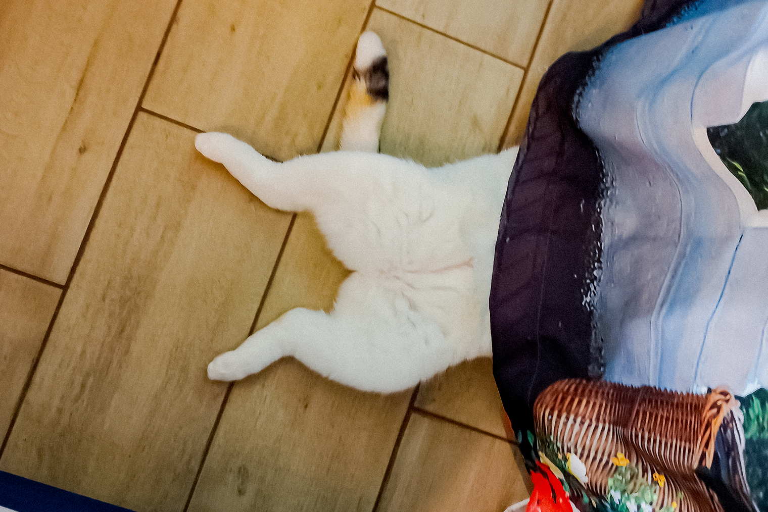 Играла в прятки, очень удачно спряталась да и задремала