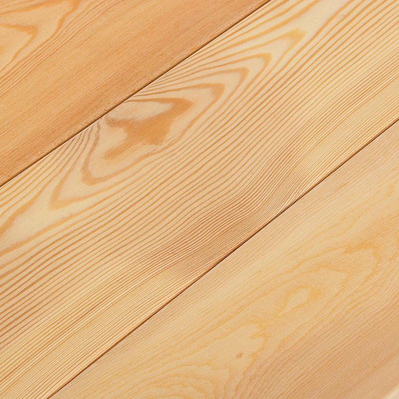 Прима — лиственница