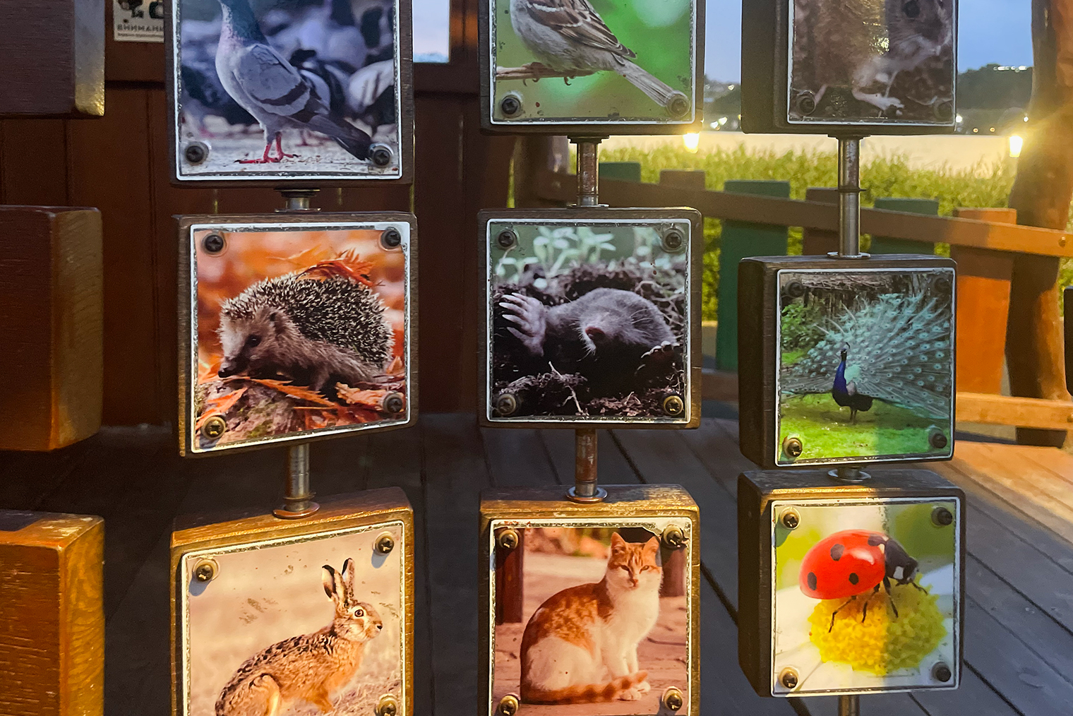 Такая игра была на территории площадки