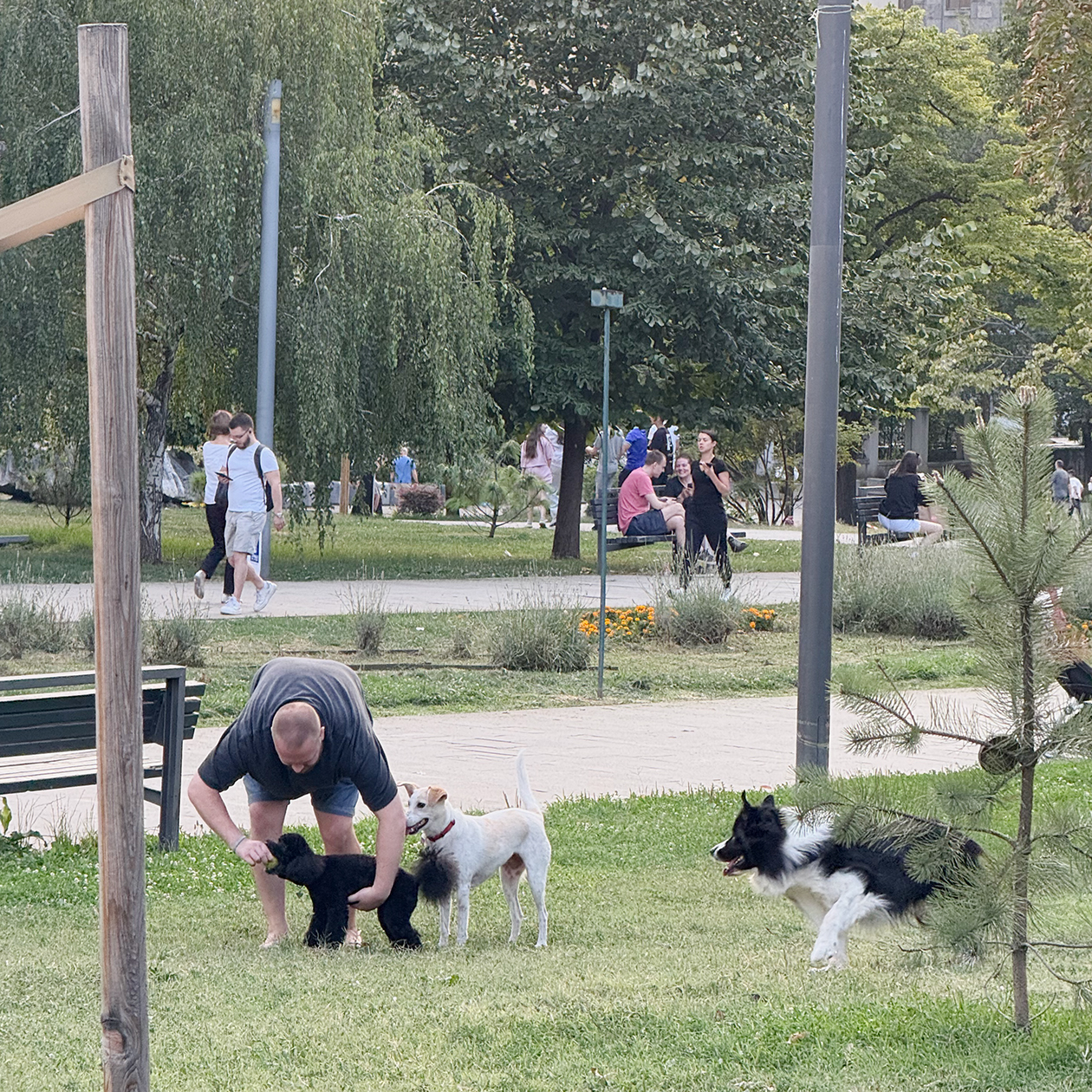 Домой возвращаемся через парк. Сегодня здесь людно