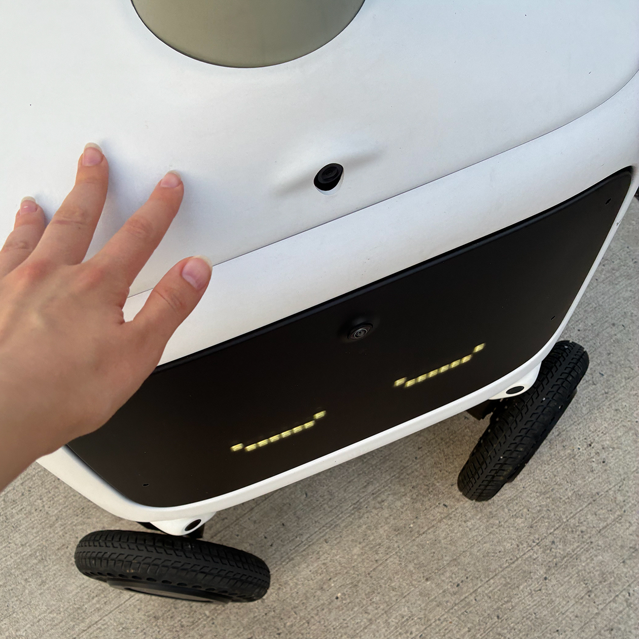 Вместо милых кур у нас есть роботы-доставщики, тоже очень хорошие