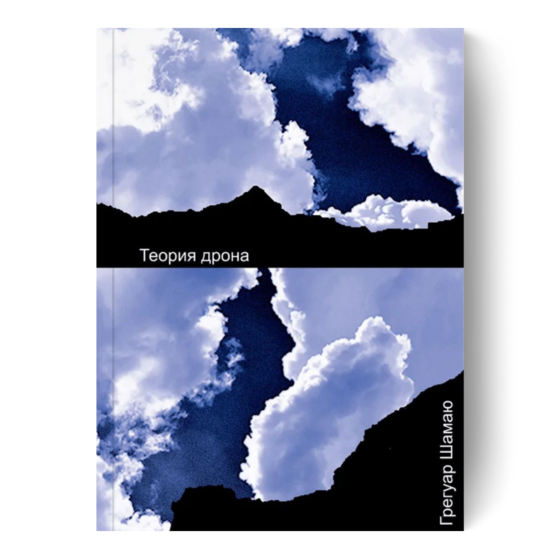 Теория дрона
