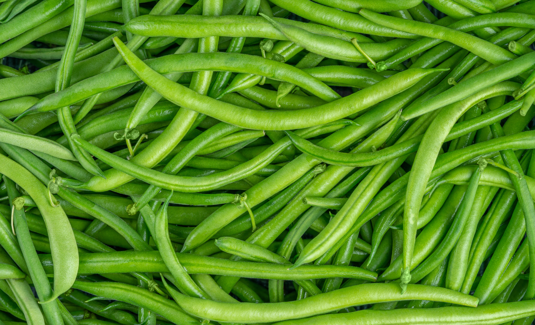Стручковая фасоль