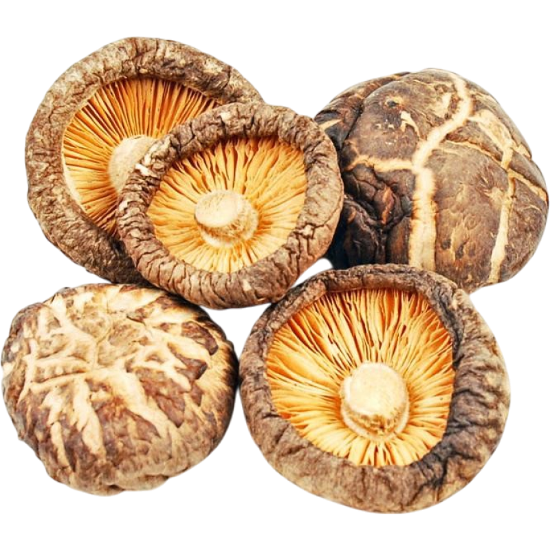 Сушеные грибы шиитаке