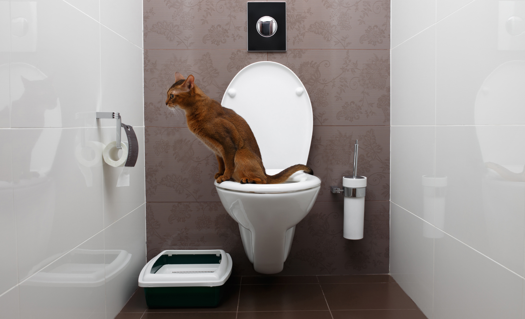 Система приучения к унитазу