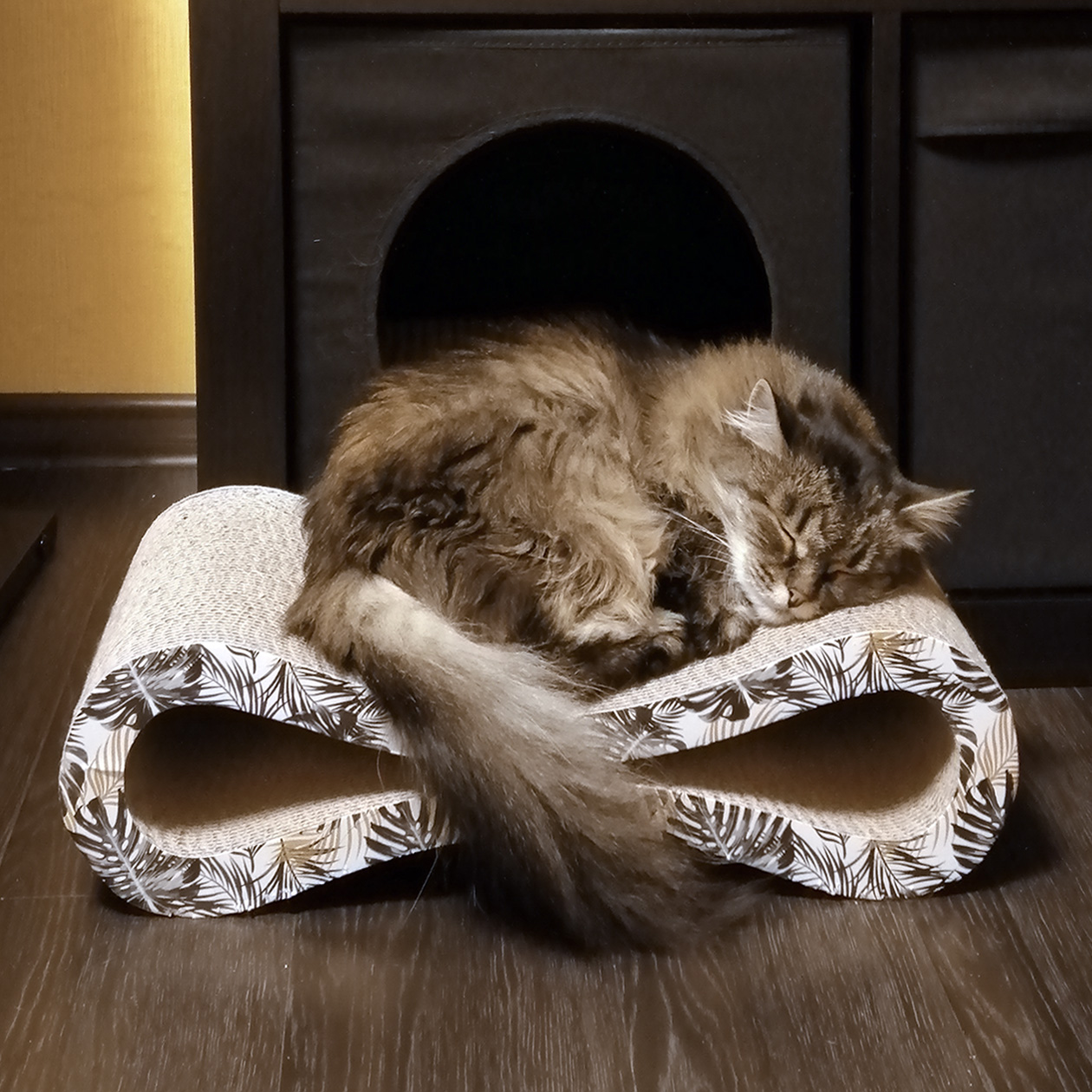 Как отучить кошку царапать обои, мебель, стены | PERFECT FIT™