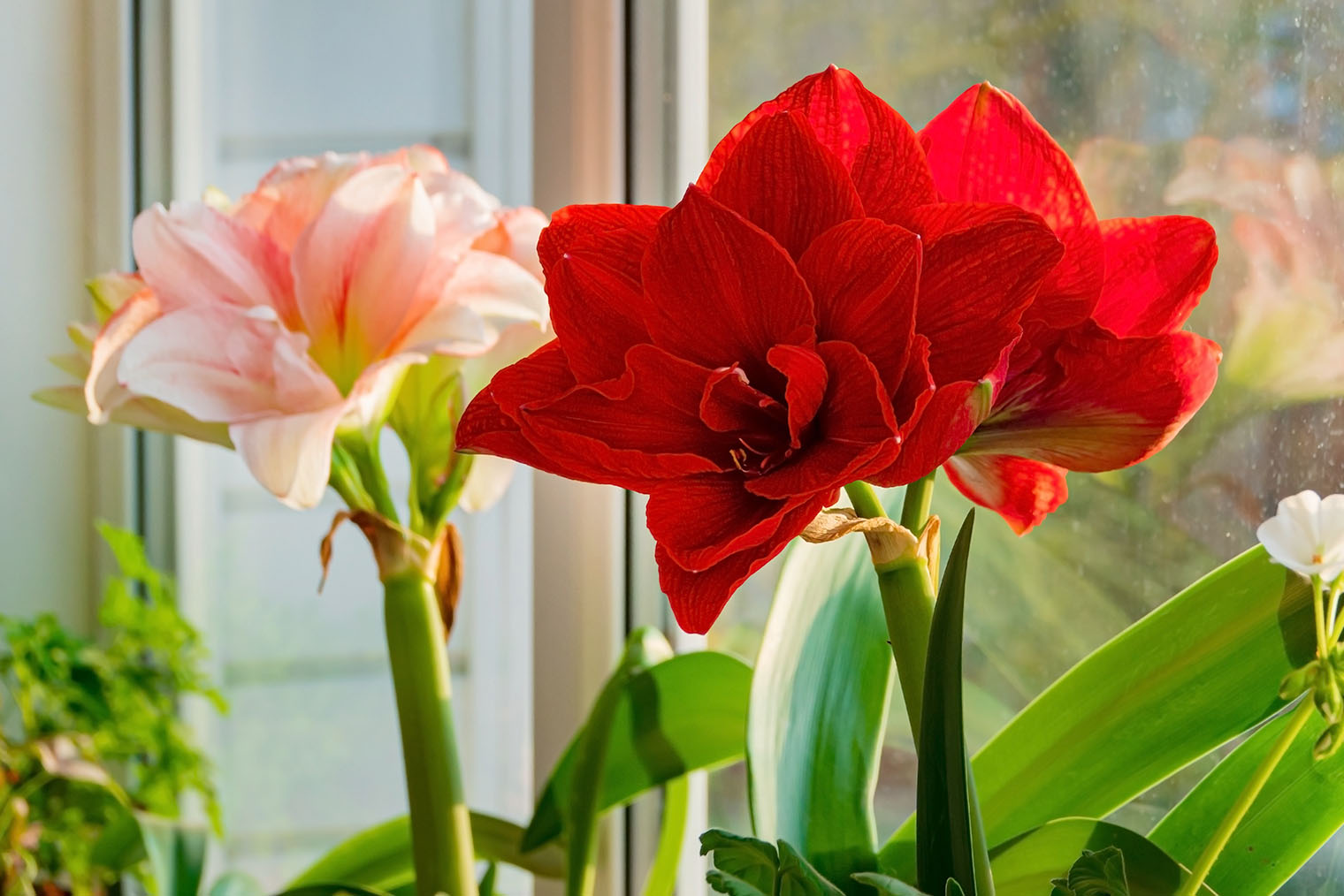 Фотография: Shebeko / Shutterstock / FOTODOM