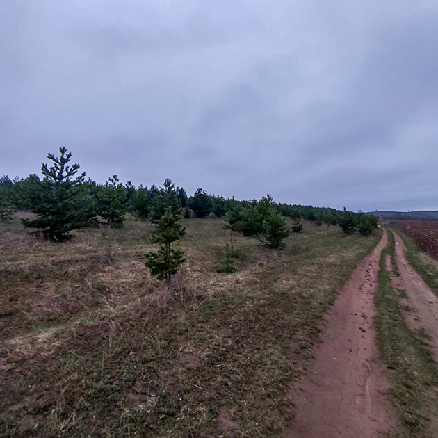 Гуляем