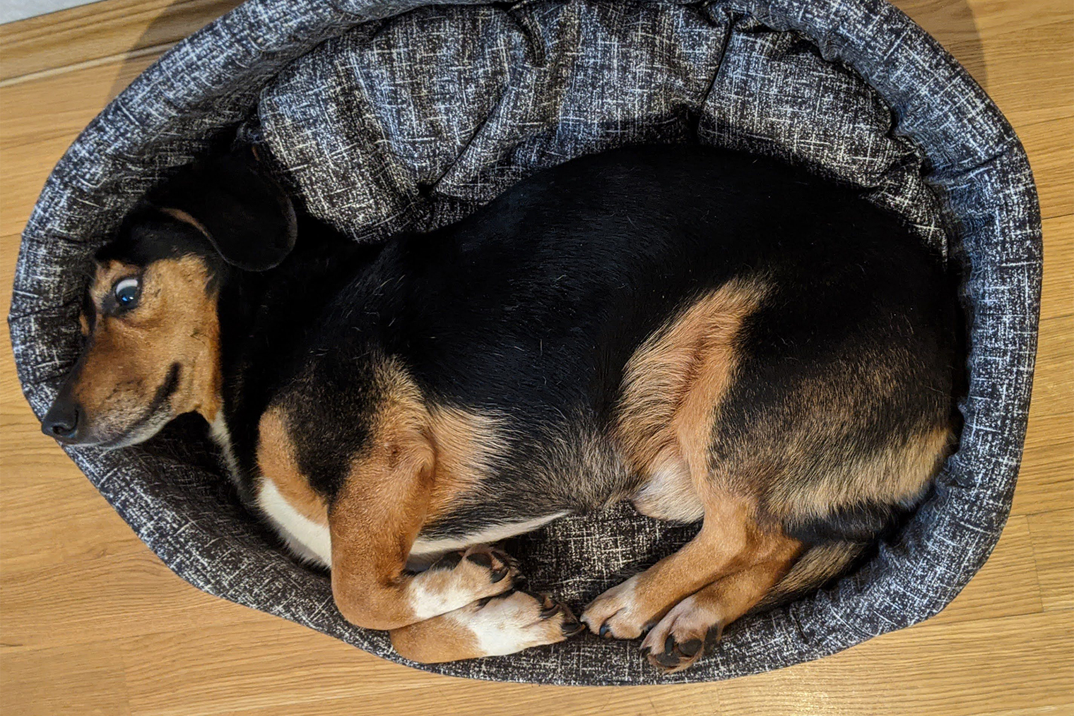 С лифтом Омара пришлось знакомить, а вот с игрушками отношения так и не сложились