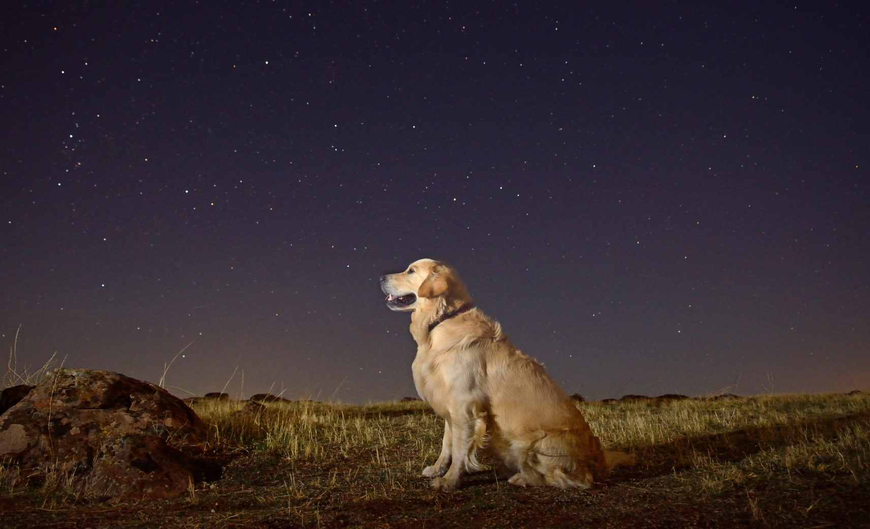 Могут похвастаться встроенным компасом