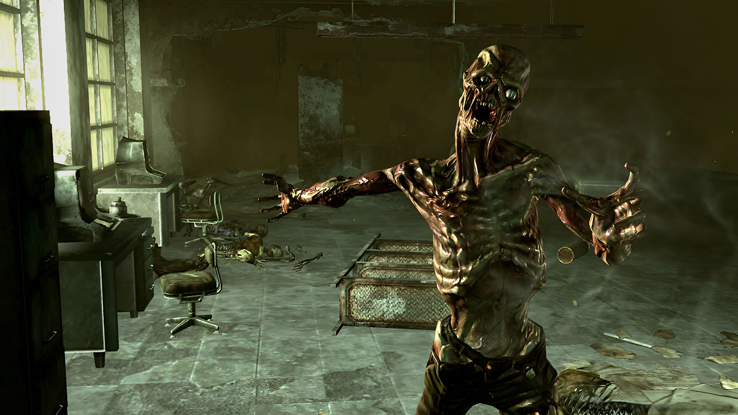 На момент выхода многие студии пытались достичь реалистичной графики, но Bethesda перестаралась с тусклым фильтром изображения. Из⁠-⁠за этого Fallout 3 стала лицом «коричневых игр»