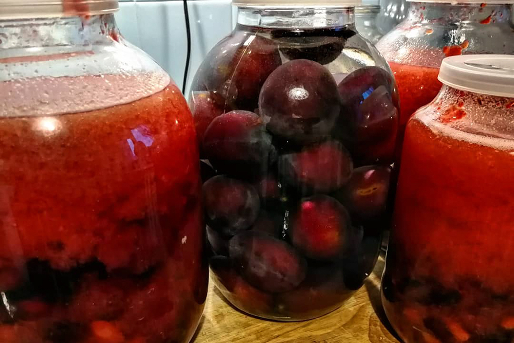 Приготовление сладких настоек на клубнике и сливе. © Николай Хижняк