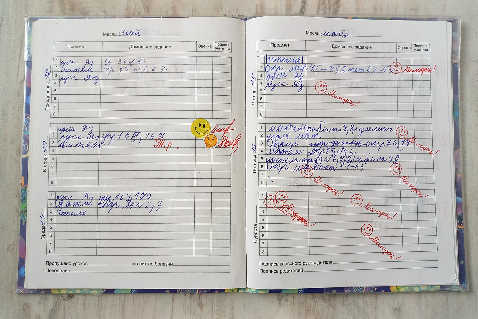 Дневник второклассницы