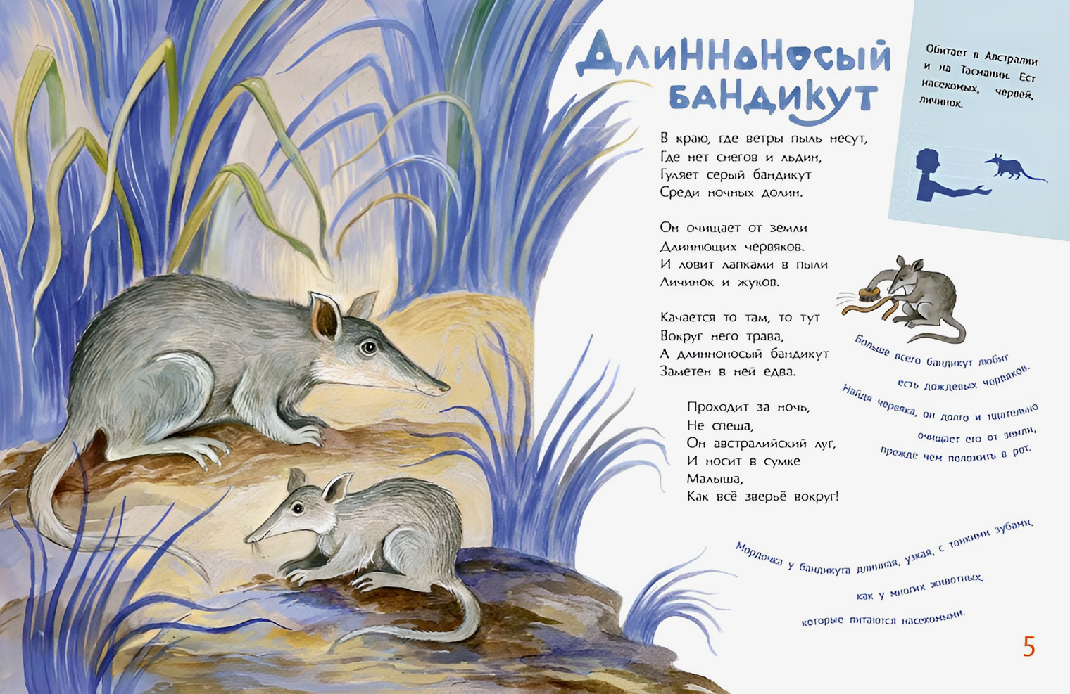 Автор книги Дарья Герасимова не только написала стихи и тексты в книге, но и нарисовала все иллюстрации
