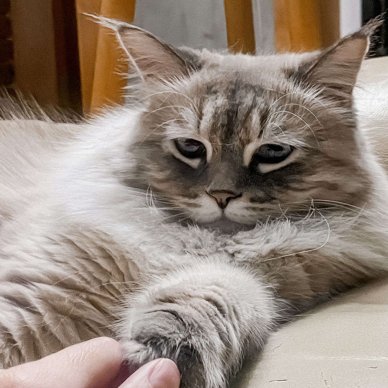 Мы всегда защищаем друг друга