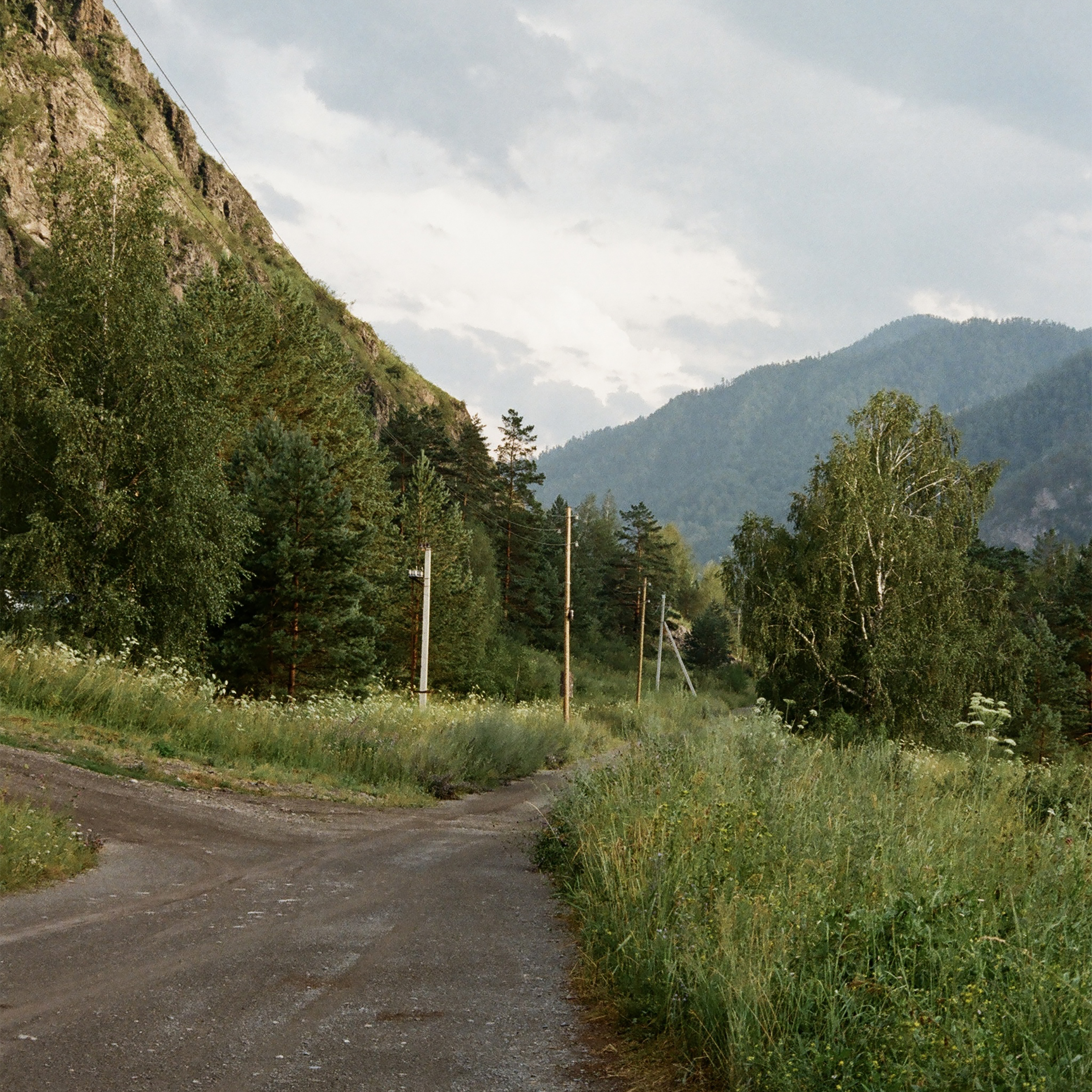 Сделала этот кадр, когда останавливались на Чемальском тракте — он идет вдоль правого берега Катуни