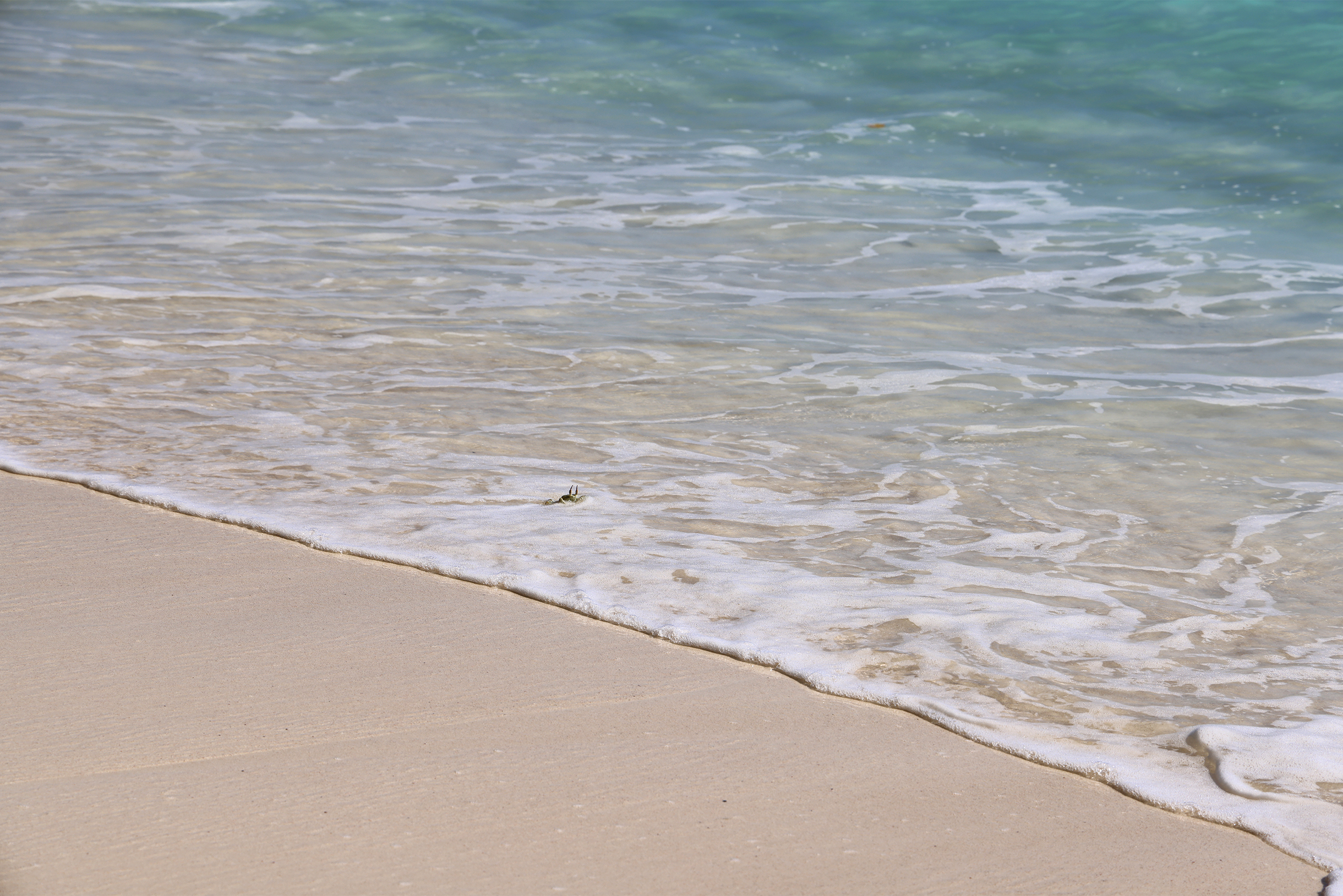 В прибрежных волнах мелькал краб-привидениеКраб-привидение, или краб-призрак, — сухопутное ракообразное, распространенное в тропических широтах. Мы не самые большие фанаты купания, но теплая вода манила, и несколько раз все же не удержались