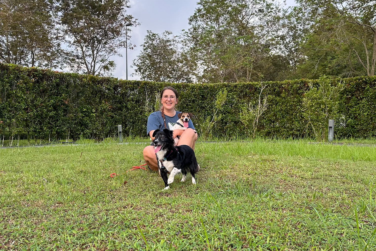 Мы эмигрировали в Малайзию с собакой, а потом завели второго пса породы джек-рассел. Колесить из страны в страну с двумя питомцами — задача нелегкая и часто дорогая. Это одна из причин, почему я не хочу никуда переезжать