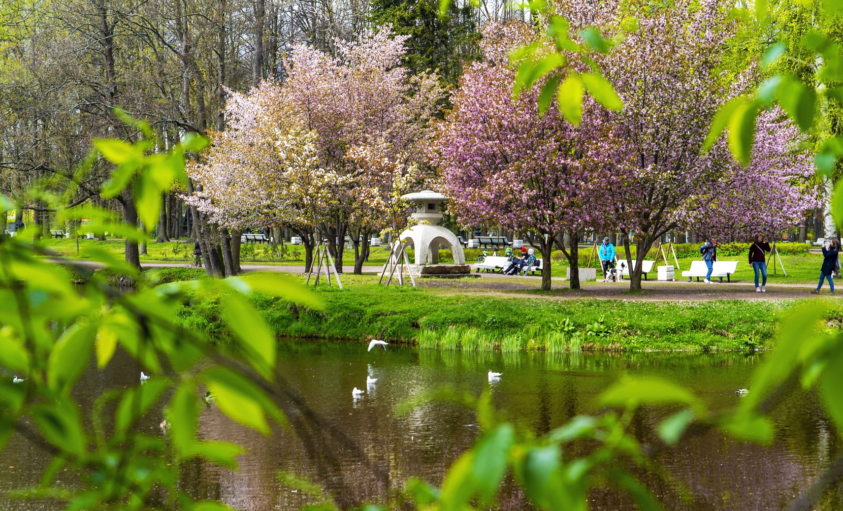 Приморский парк Победы