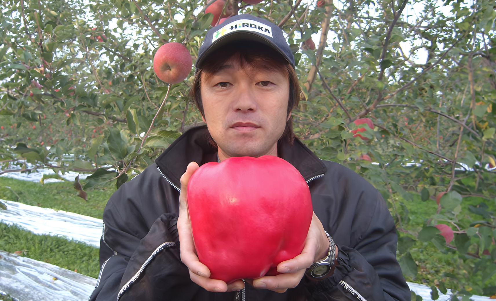 Яблоко — 1,85 кг