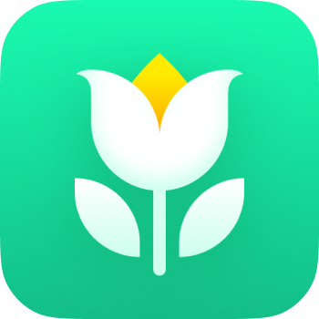 Plant Parent: Plant Care Guide