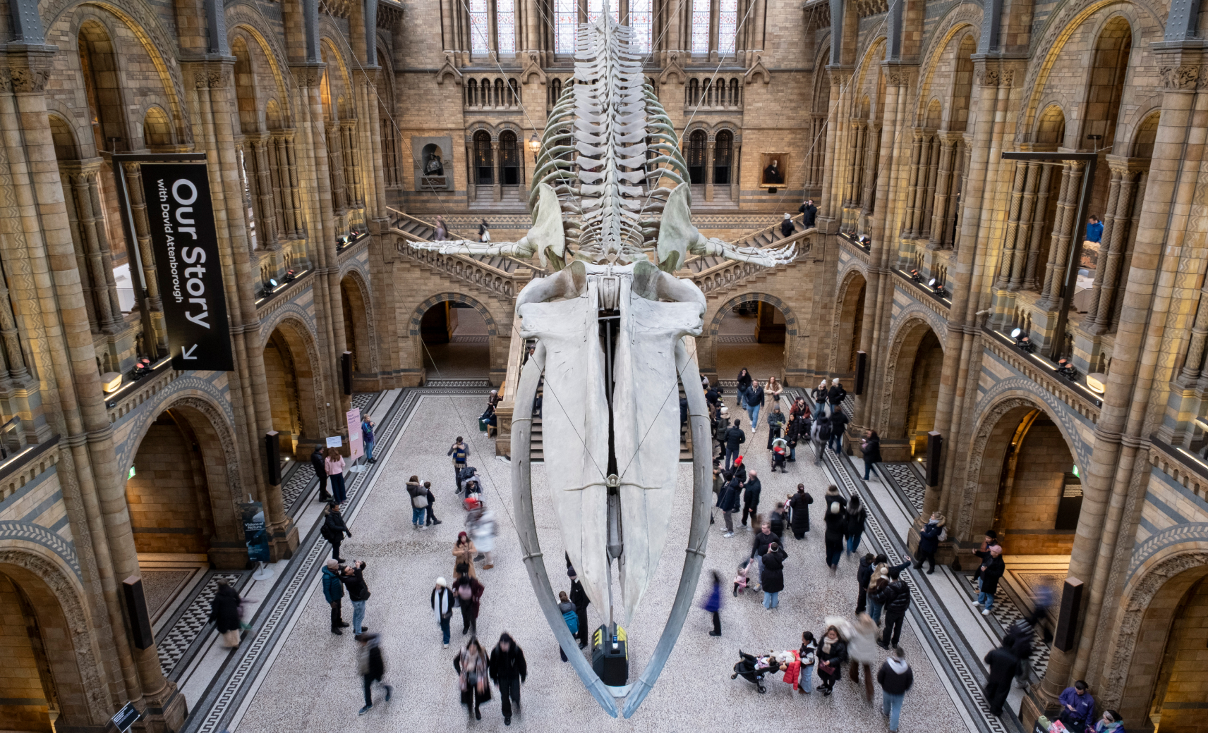 Музей естественной истории