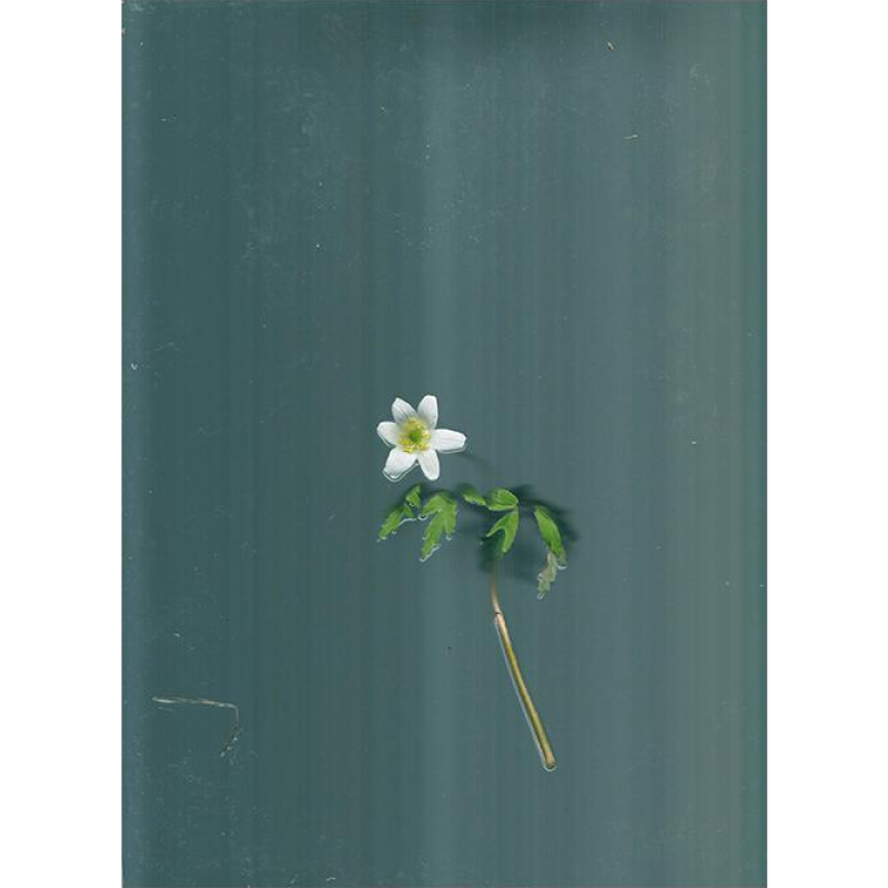 Постер от современного художника