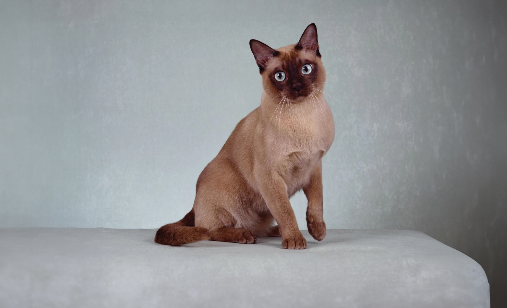 Тонкинская