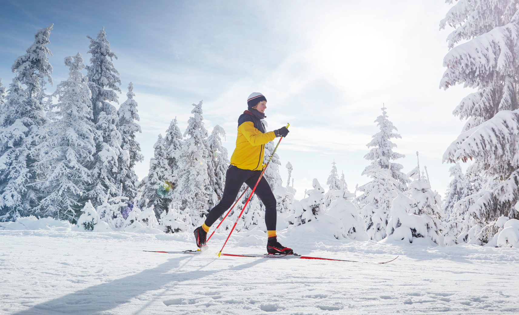 Беговые лыжи