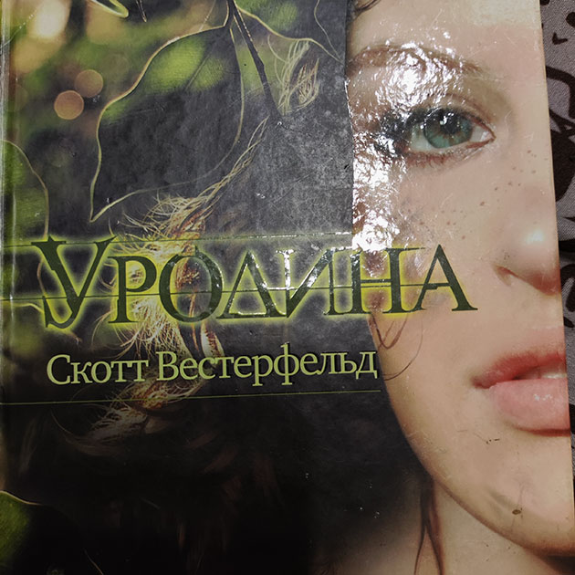 Сейчас читаю эту книгу