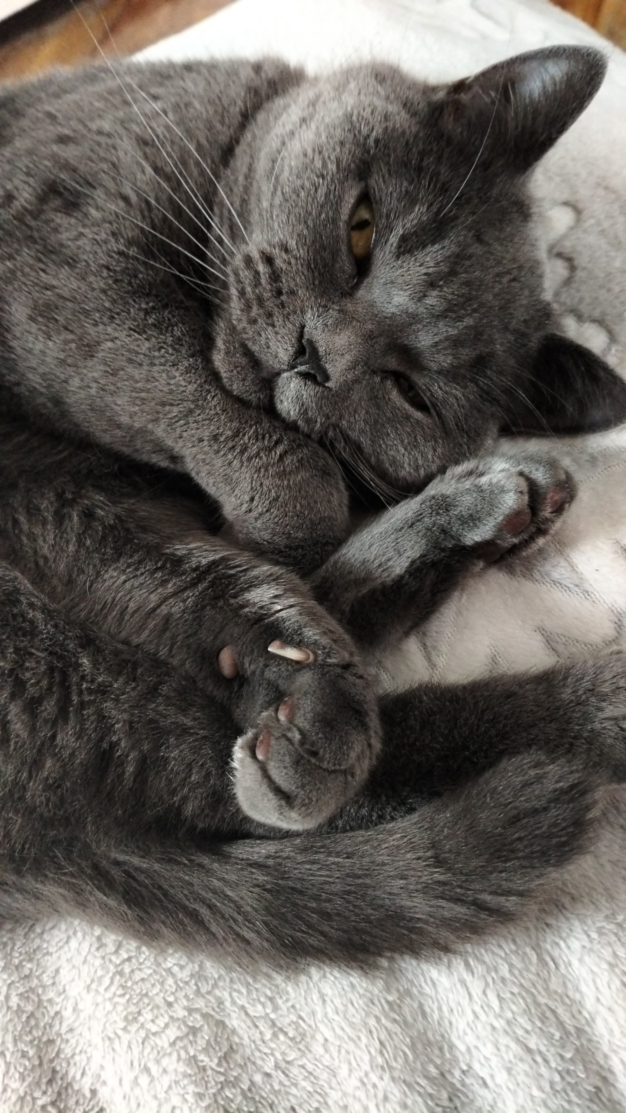 А теперь любите меня,ласкайте меня, а еще вкусняшку давайте