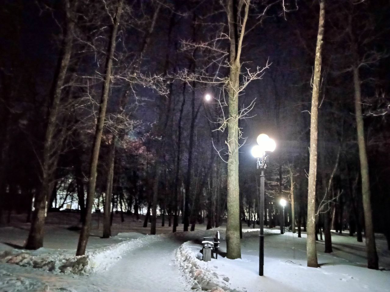 Бегу по аллее