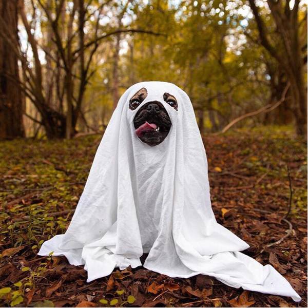 Роман Волынский 