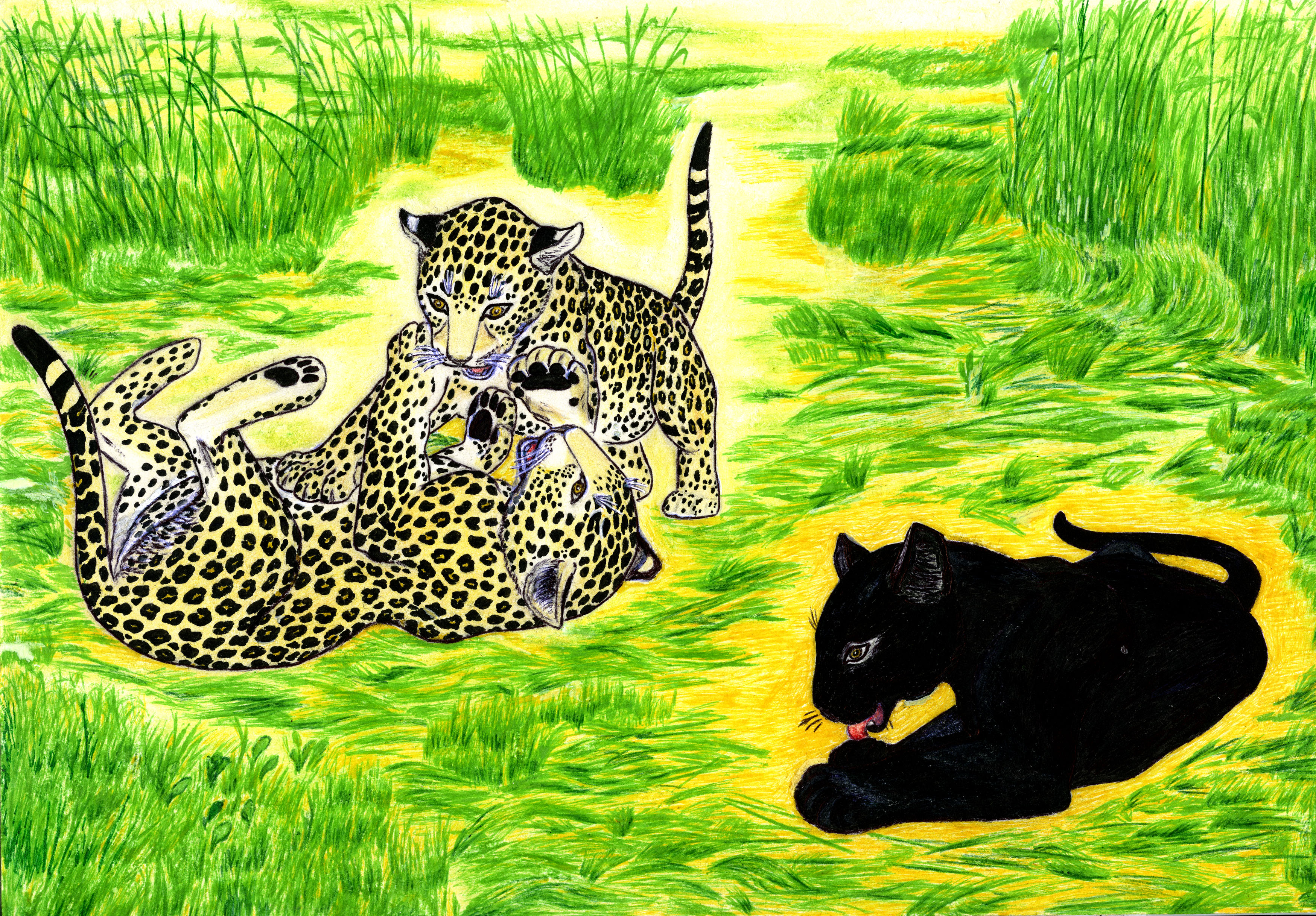 Детки без клетки