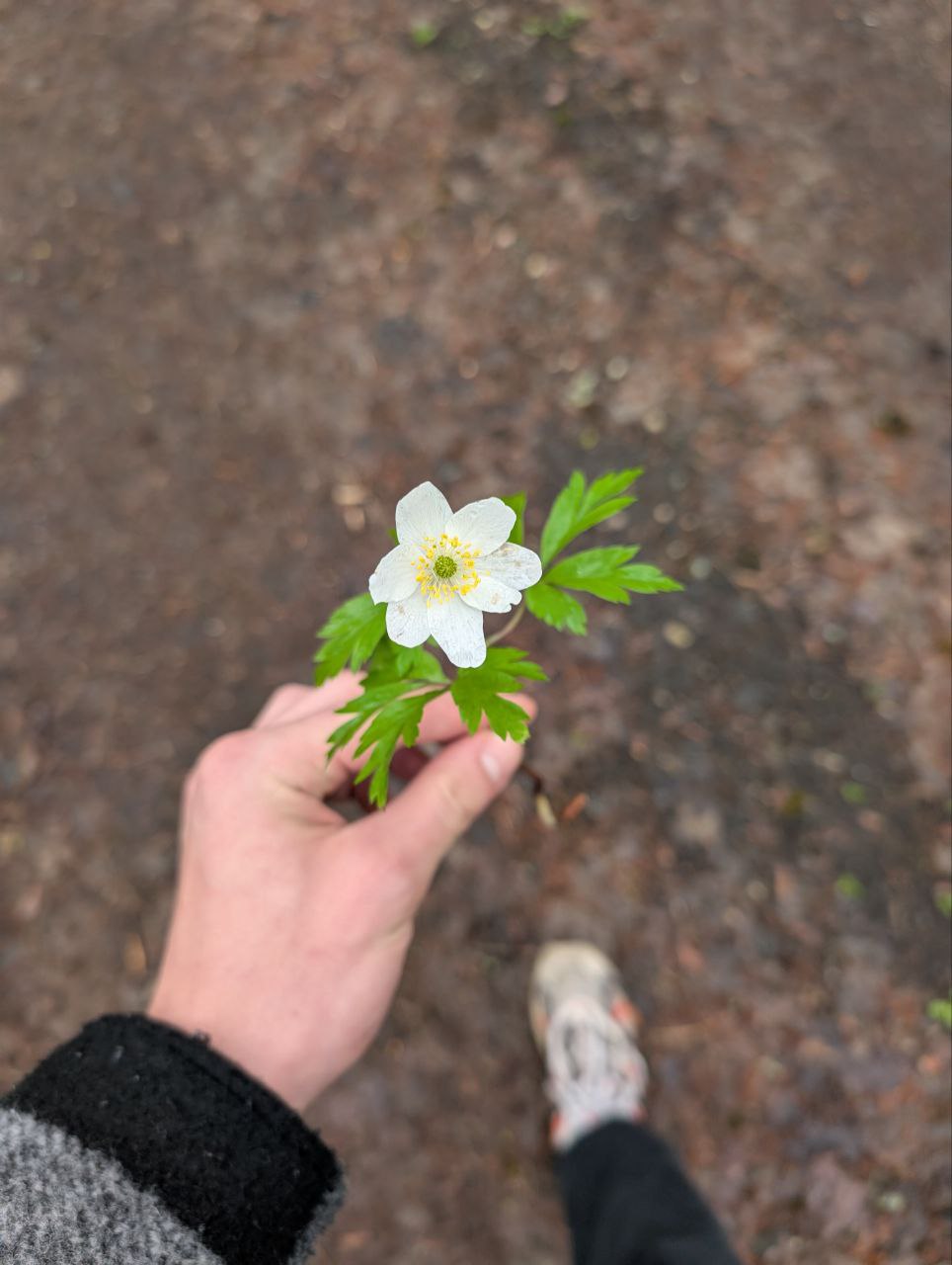 Цветок