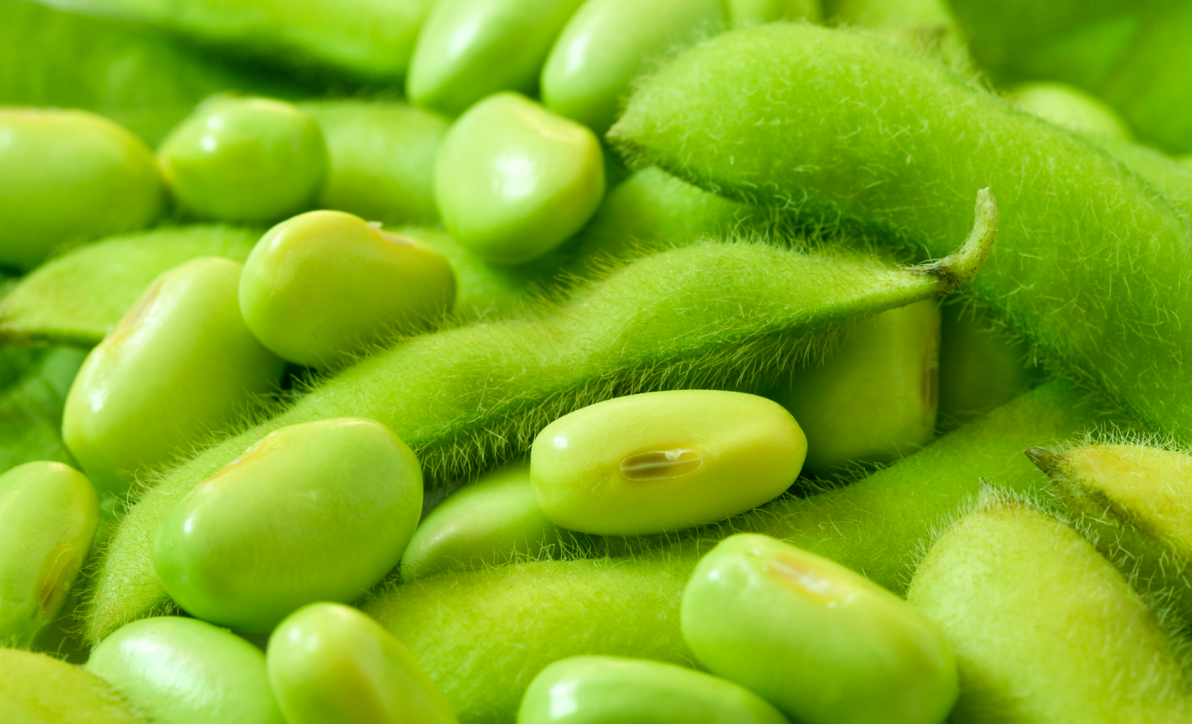 Соевые бобы