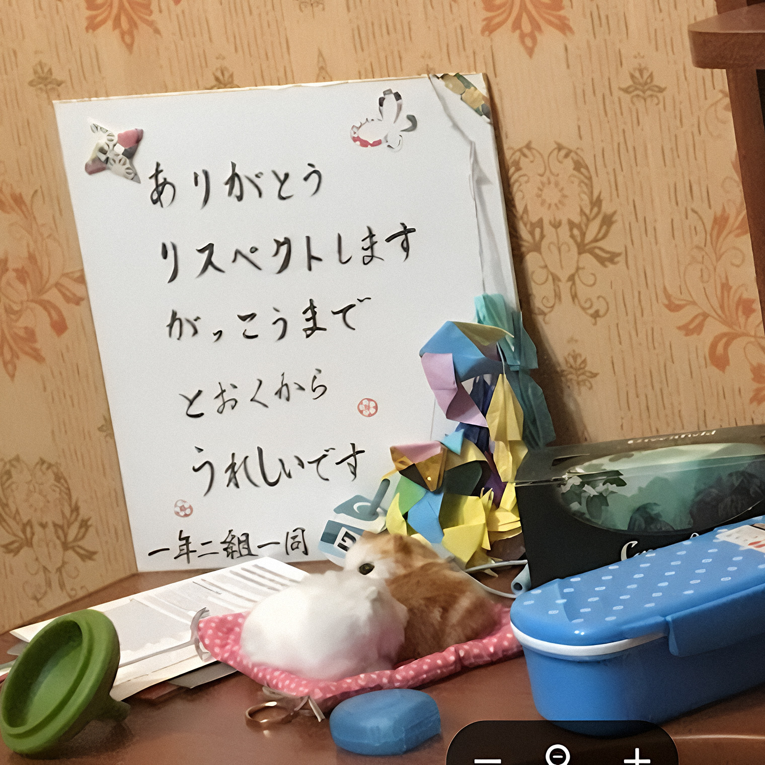 Письмо благодарностей от учеников первого класса в японской школе, где я рассказывала о русской культуре. В Японии принято писать благодарности от руки и красиво все оформлять. На этом письме есть стикеры и оригами
