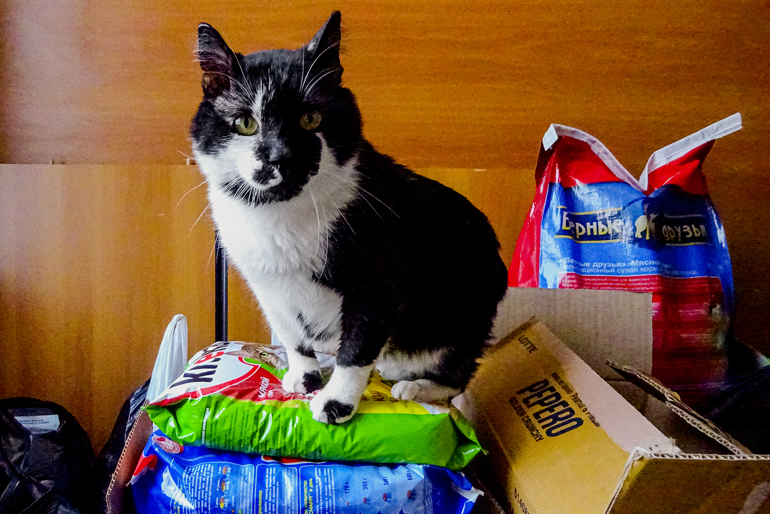 Предполагаю, что из-за голодной жизни в прошлом Берендей с тревогой относится к еде