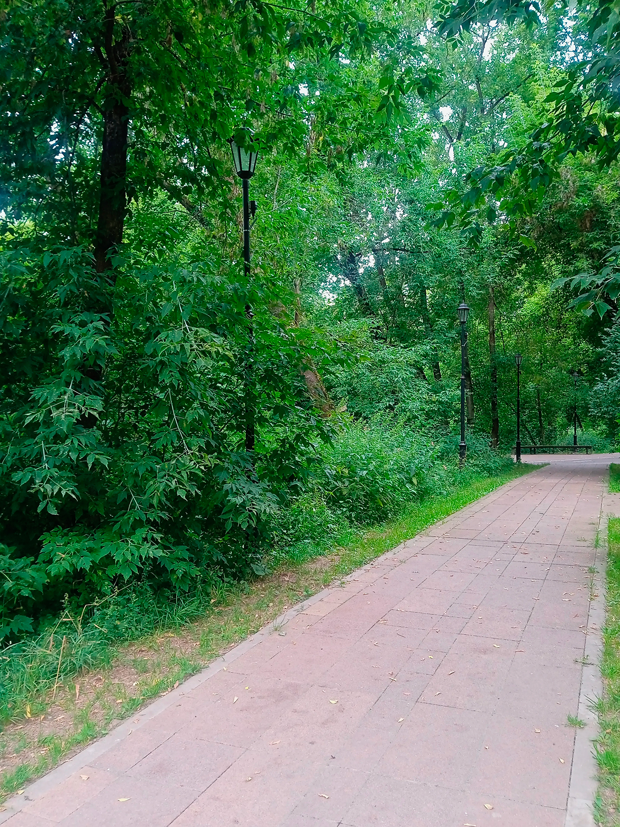 Дорога к метро