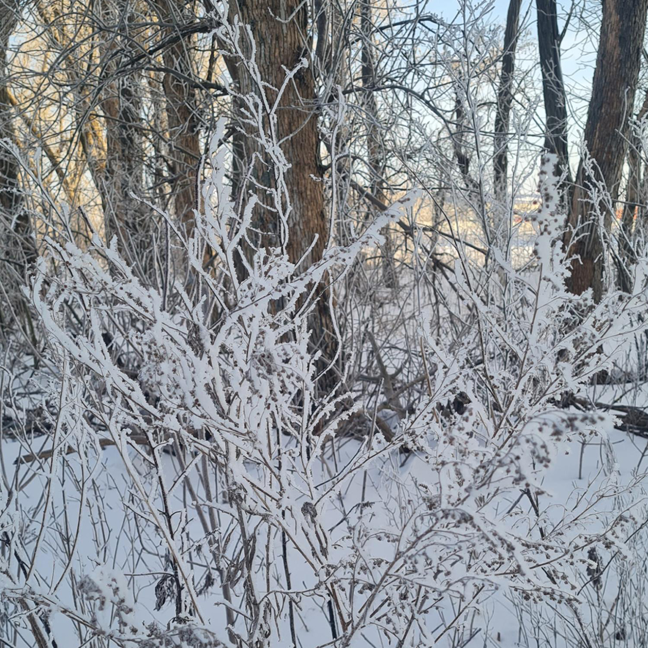 Природа хороша