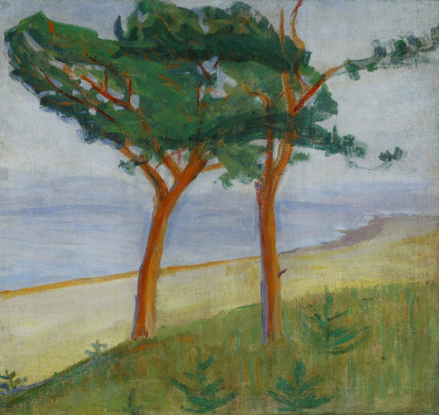 Картина: Михаил Матюшин «Сосны», 1909