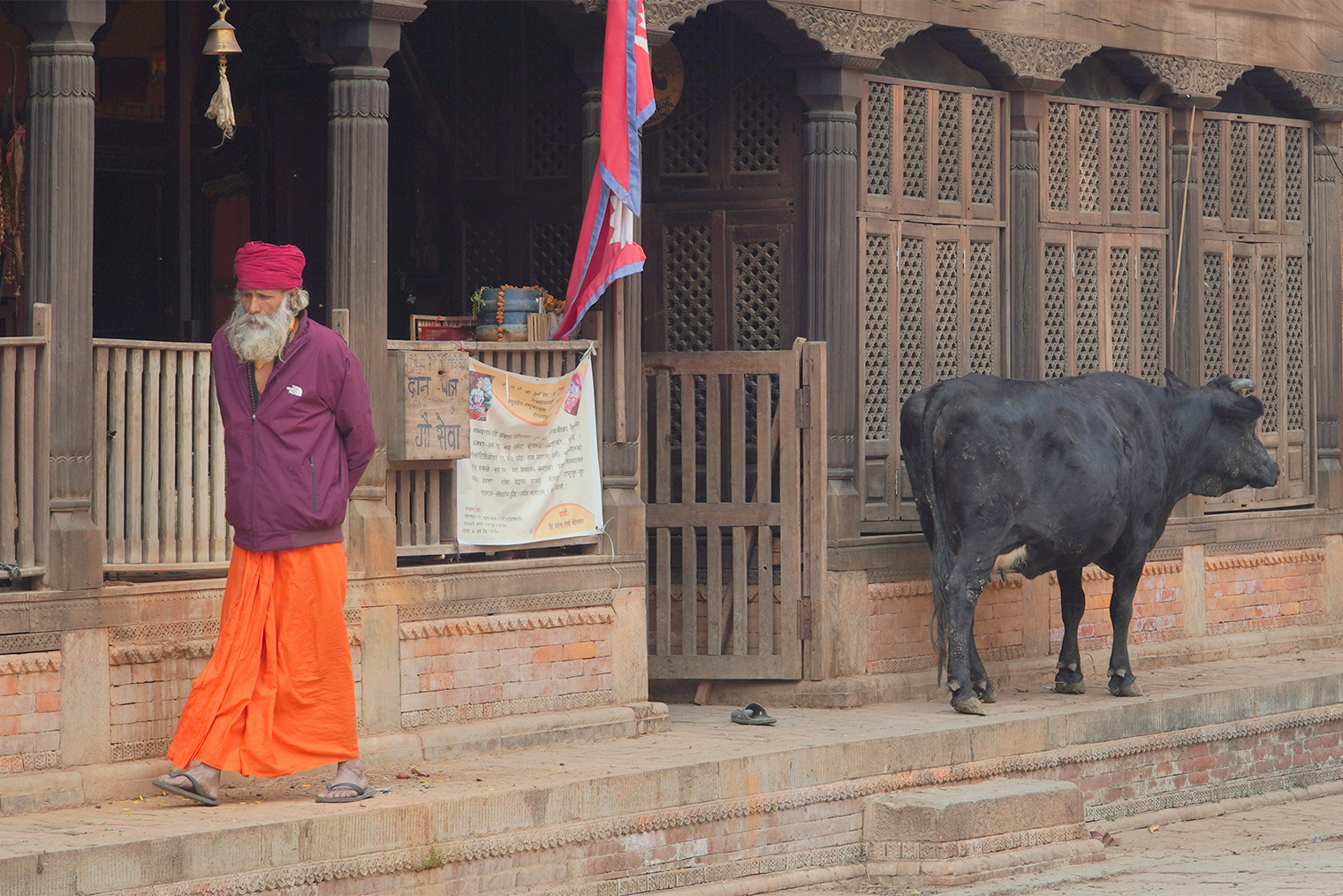 Пашупатинатх — главный индуистский храм Непала, территорию которого населяют в том числе коровы